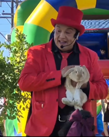 mago hache magia infantil the magic league chile-sho-deluxe